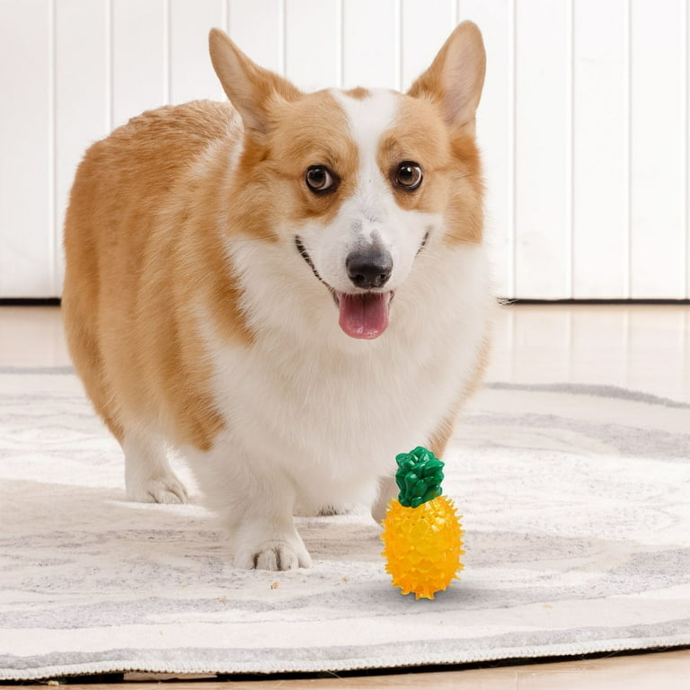 Taicans Puppy Teething Toys Freezables Relieve Teething Pain