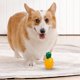 thumbnail image 5 of Juguete Interactivo para Masticar con Sonido para Perros, Alivio de La Dentición Congelable para Cachorros y Perros, Hueso Masticable Duradero para Limpieza de Molares, Juguete Dental para Mascotas d, 5 of 5