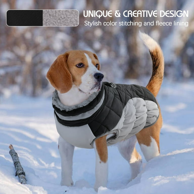 Cold Weather Beagle Winter Jackets Buy Best Dog Winter Jacket