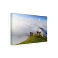 thumbnail image 3 of Trademark Fine Art 'Mountain Horses' Canvas Art by Ata Alishahi, 3 of 3