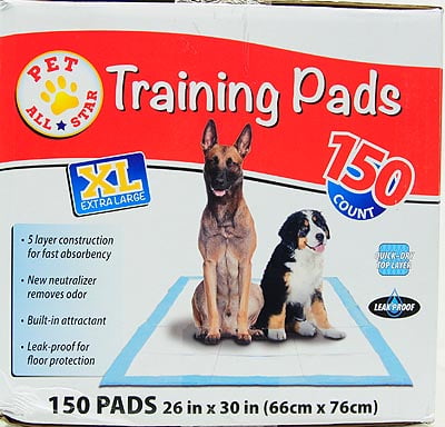 arm and hammer xl dog pads