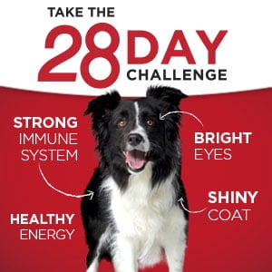 purina one large breed walmart