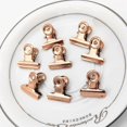 thumbnail image 4 of 20pcs 22mm Bulldog Stainless Steel Metal Paper Letter Grip Clips Clamp, 4 of 5