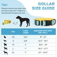 thumbnail image 4 of Rychif Cute Dog Collar, Banana Pattern, Soft Nylon Pet Collars for Small Medium Large Dogs, M, 4 of 7