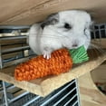 thumbnail image 7 of Exotic Nutrition Woven Grass Carrot Chew Toy, 7 of 7