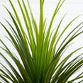 thumbnail image 3 of Nearly Natural 3ft. UV Resistant Artificial Grass Plant (Indoor/Outdoor), 3 of 5
