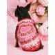 thumbnail image 1 of PETSIN Petsin Pink Heart Print Romantic Gradient Color Pet Cat & Dog Vest, 1 of 5