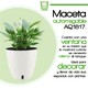 thumbnail image 2 of Maceta Autorregable Smart Garden  AQ1817 Blanco Mate, 2 of 5
