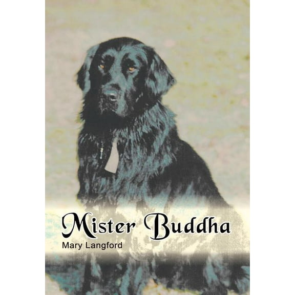 Mister Buddha (Hardcover)