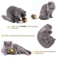 thumbnail image 3 of PELOTA RASCADORA PARA GATO CON HIERBA GATERA NATURAL: este juguete de hierba gatera combina a la perfección un rascador saludable y una hierba gatera refrescante, y estimula los sentidos del, 3 of 5