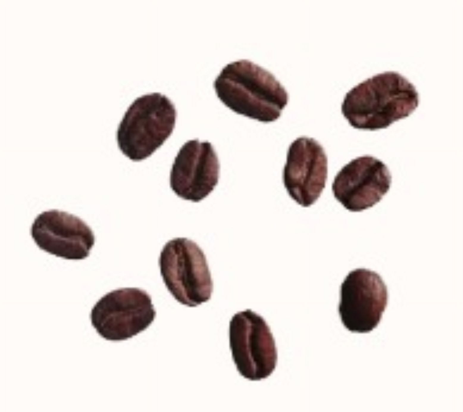Lacas Coffee Original City Roast Whole Bean 5 lbs. Fresh Roasted