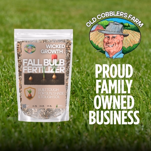 thumbnail image 5 of Old Cobblers Farm™ Wicked Growth Fall Bulb Fertilizer – Flowering Bulb Plant Food for Tulips, Daffodils, Hyacinths & for Stronger Roots, Bigger Blooms, Cold-Weather Formula (5/10/15/20 lbs) (15 lbs), 5 of 6