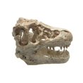 thumbnail image 1 of Resin Aquarium Decoration Crocodile Skull For Fish Tank Ornament, 1 of 1