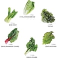 thumbnail image 2 of Vegehome Stir-Fry Bundle 6 Pack (12 Pods), 2 of 2