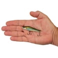thumbnail image 4 of Berkley Ripfish, 7, Dark Shiner, 4 of 5