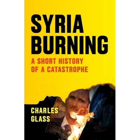 Syria Burning : A Short History of a Catastrophe (Paperback)