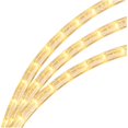 thumbnail image 1 of Indoor/Outdoor Incandescent Round Rope Light - Clear, 15', 1 of 1