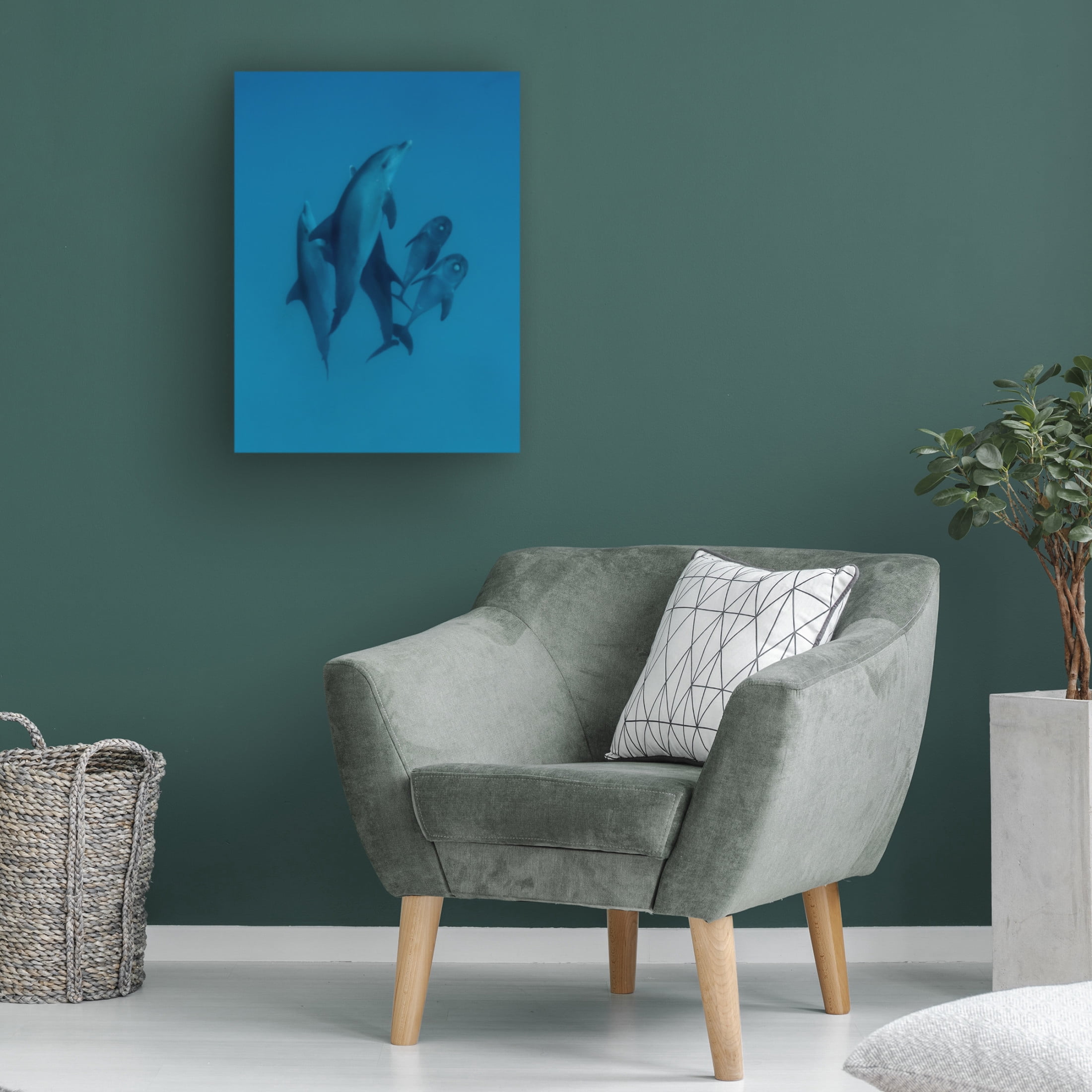 Trademark Fine Art Romano Molinari Dolphins 6 Canvas Wall Art