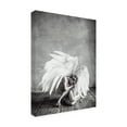 thumbnail image 2 of Trademark Fine Art 'Angel Bold' Canvas Art by PhotoINC Studio, 2 of 3