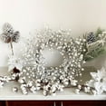 thumbnail image 6 of 24 Inch Winter Front Door Wreath Pearl White and Silver Berry Christmas Wreath Metallic Effect Winter Berry Wreath for Front Door Wall Window Hanging Christmas Decoration Home Decor, 6 of 7