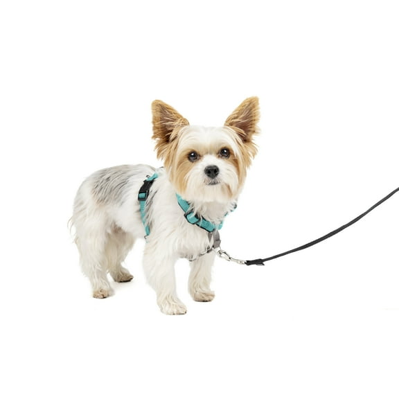 PetSafe 3 in 1 Harness, Fully Adjustable No-Pull Dog Harness and Car Restraint, Nylon, Medium, Black