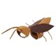 thumbnail image 4 of Disfraz de cucaracha para perros de Halloween, disfraces para mascotas, decorativo para perros y gatos, regalo, con antenas de de cucaracha, ropa, 4 of 8