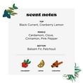 thumbnail image 5 of Poo-Pourri Limited Edition Scents Odor Eliminating Toilet Spray, Cranberry & Cinnamon & Balsam Fir, 2 fl oz, 5 of 9