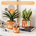 thumbnail image 4 of BUYMAX Plant Pots, 4+5+6 Inch Pots for Indoor Plants,Ceramic Planter Pot with Drainage Hole,Flower Pots for Succulent Cactus,Set of 3 - Rainbow Pearl Glaze, 4 of 13