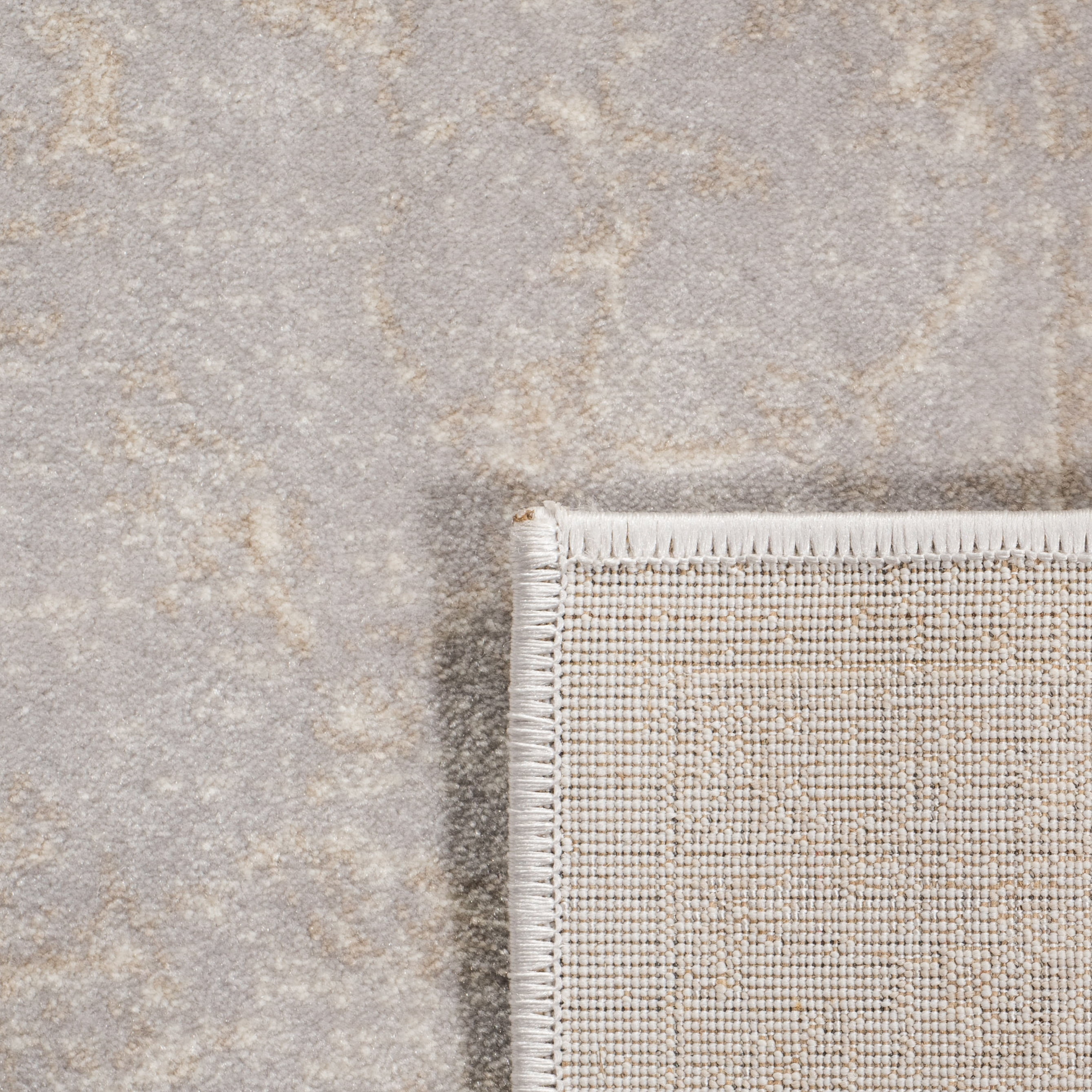 SAFAVIEH Carnegie Samantha Oriental Area Rug, Light Gray/Cream, 9' x 12'