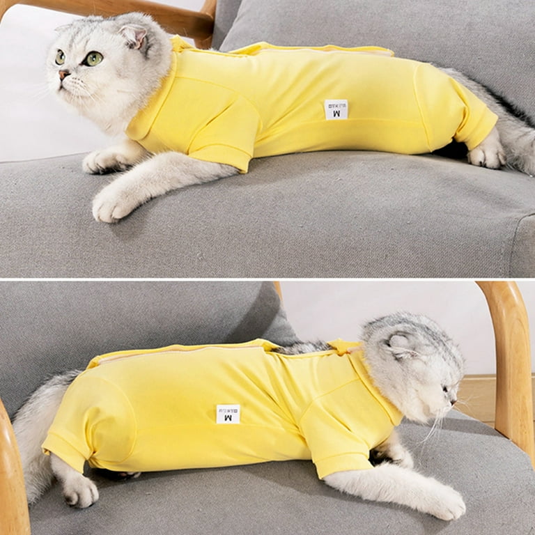 Cat shirt top to prevent licking