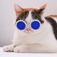 thumbnail image 3 of Pet Glasses - Artificial Pearl Decoration, Lightweight Photography Accessory, Small Cat Sunglasses, Dog Goggles for Festivals, 3 of 8