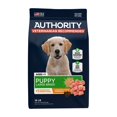 thumbnail image 1 of Everyday Health Large Breed Puppy Dry Dog Food - Chicken & Rice, 1 of 4