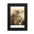 thumbnail image 1 of Avestruz africanus Marco de Fotos de escritorio imagen Arte Negro Pintura 5x7 pulgadas, 1 of 4