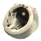 thumbnail image 1 of Cama Cálida Y Acogedora Para Mascotas, Cojín Antideslizante Para Casa De Gatos, Cama Extraíble Y Lavable Para Dormir Para Mascotas Cateissary PT002537-01, 1 of 6