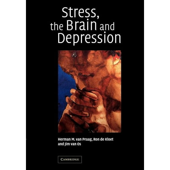 Stress, the Brain and Depression, (Paperback)