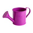 thumbnail image 2 of Vintage Wrought Iron Watering Can Decorative Vase,Multi‑Purpose Small Household Storage Container For Indoor Home Decor.Hot Pink, 2 of 6