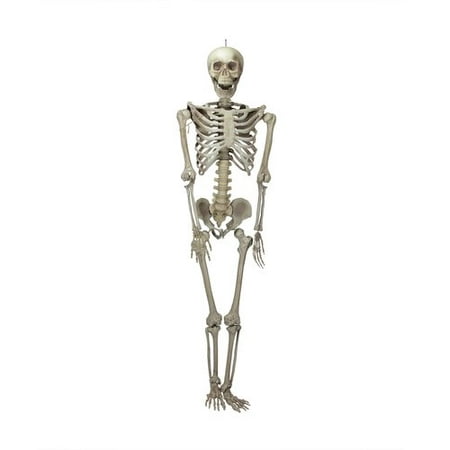 Northlight Seasonal Life-Size Jointed Skeleton Hanging Halloween Decoration
