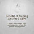 thumbnail image 3 of Pure Balance Pro+ Indoor Pate for Cats, Chicken & Rice Formula, 2.64 oz, 3 of 8