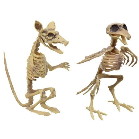 Rat and Bird Skeleton Halloween decoration By Nikkis Knick Knacks