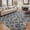 Gray & White, variant on Pentantan Shag Area Rug, 8ft x 10ft Geometric Soft Fluffy Rugs for Living Room Bedroom Indoor Carpet, Gray & White