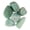 Amazonite, variant on Down To Earth Tumbled Amazonite 1lb