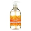 Seventh Generation Hand Wash Soap Mandarin Orange & Grapefruit 12 oz (Pack of 2)