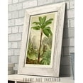 thumbnail image 4 of Verschaffeltia Splendida Palm Botanical Print - 11x14 Unframed Art Print - Great Wall Decor for Bathrooms and Bedrooms, 4 of 6