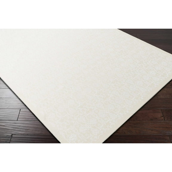 BoutiqueRugs Itasca Transitional Area Rug - Cream, White - 2' x 3'4"