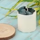 thumbnail image 5 of Vela aromática natural de rosas secas, cera de soja, vela de té, vela de pilar Eucalipto, 5 of 9