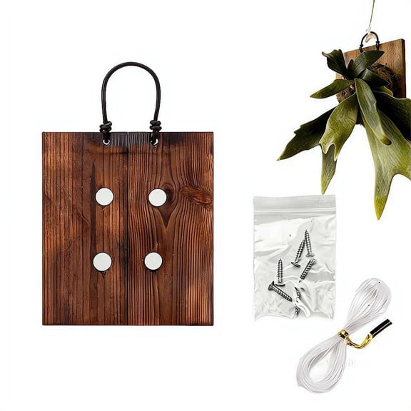 Staghorn Fern Mounting Kit with Ventilation Holes, Solid Carbonized Wood Wall Planter for Ferns, Orchids & Air Plants, Vertical Hanging Mount Board for Indoor Outdoor Home Decor, 3 Sizes