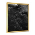 thumbnail image 2 of Designart 'Close Up Of Eye Of A Bull' Farmhouse Framed Art Print, 2 of 4