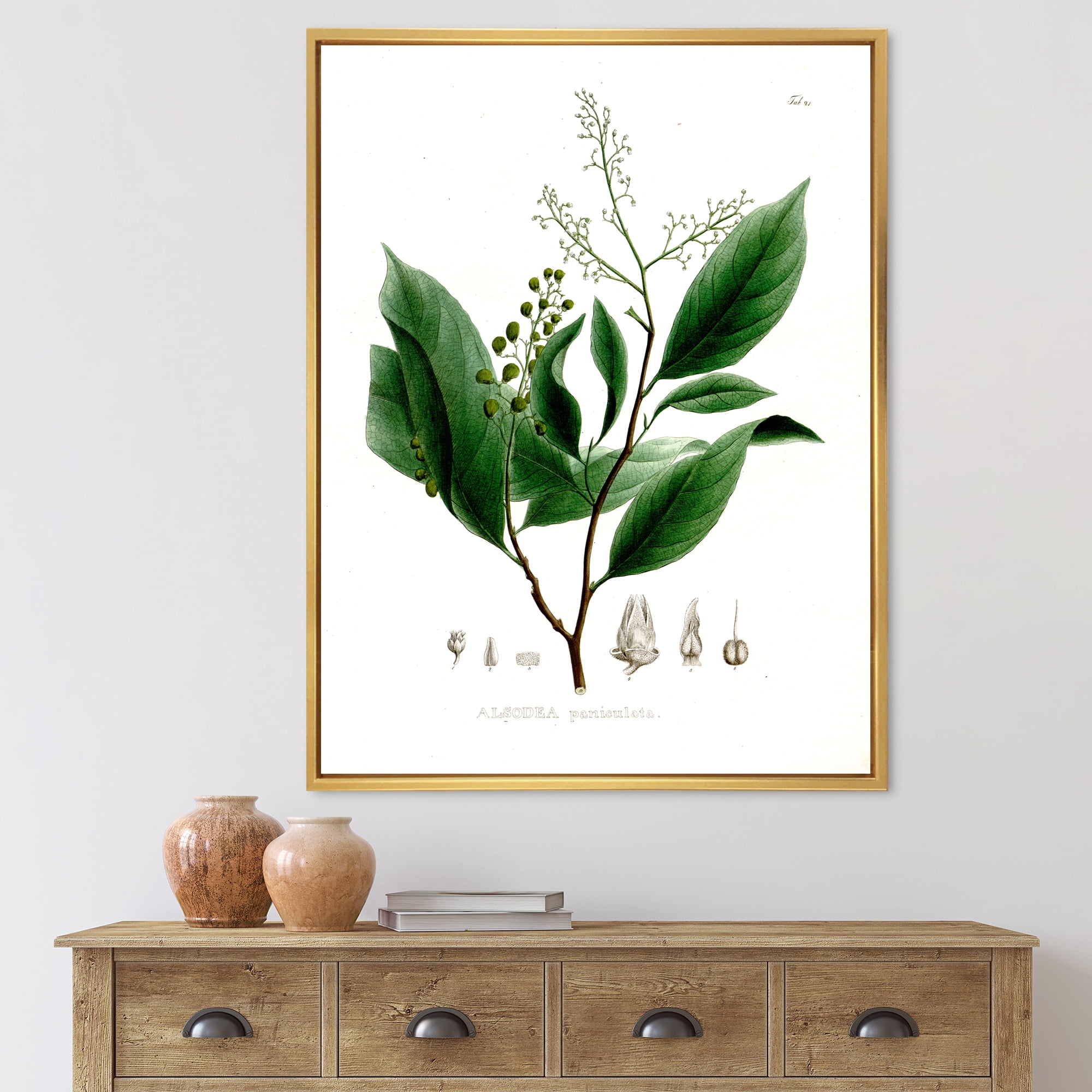 Designart 'Ancient Brazilian Plant II' Traditional Framed Canvas Wall Art Print