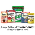 TEMPTATIONS Classic, Crunchy and Soft Cat Treats, Creepy Catnip Treats