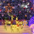 thumbnail image 6 of 3-Piece 2D Lighted Christmas Deer Family Set - Large Outdoor Yard Reindeer Holiday Decoration with Stakes, Zip Ties - Gold, 6 of 7